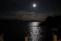 &copy; Jorge Rosenvinge