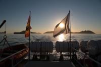 &copy; Jorge Rosenvinge